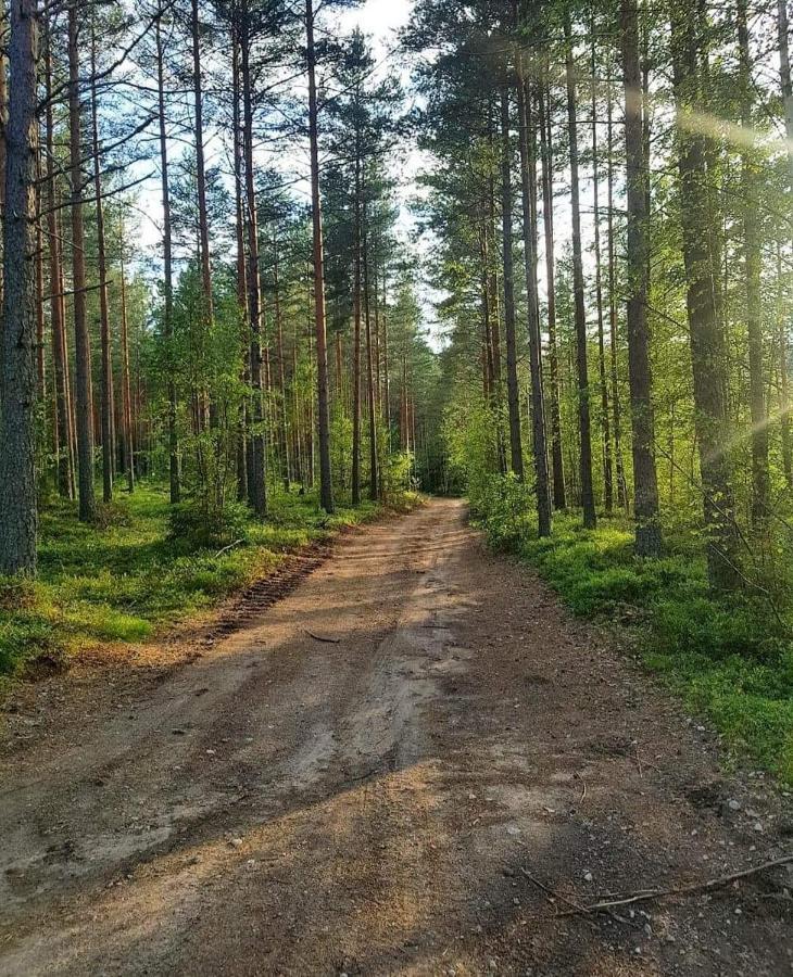 Mysig Timmerstuga Med Braskamin Naera Hovfjaellet ทอร์สบี ภายนอก รูปภาพ